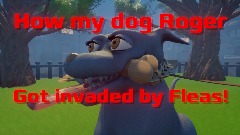 How my dog Roger got invaded by Fleas!