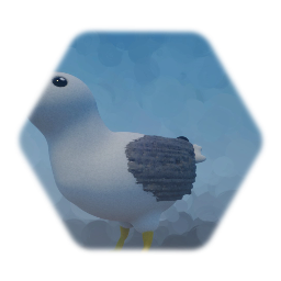 Seagull