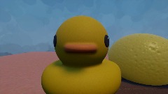 Duck