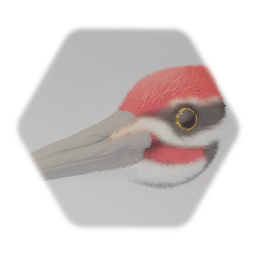 Woodpecker's Head