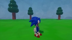 Sonic test