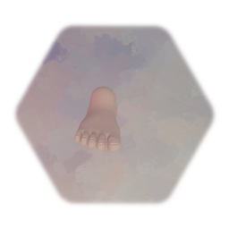 Foot