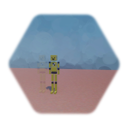 Ragdoll