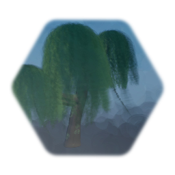 Willow Tree