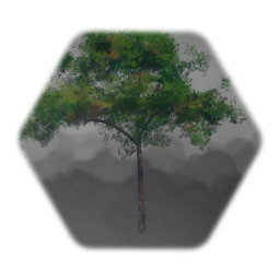 Tree3