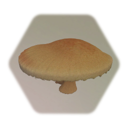 Mushrooms E