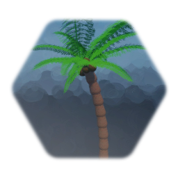 Palm Tree and Coconuts