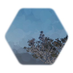 Mojave desert bush 2