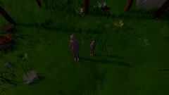 7. Words vs Meanings