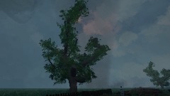 Wind Field Recreation