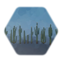 Saguaro Cacti