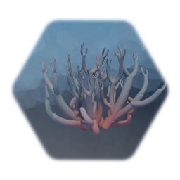 Coral / Fungus