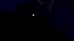 A screenshot taken in Dreams. 6 of 17.