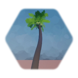Palm Tree