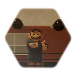 Secret history mario