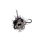 ToriDidAThingIdk