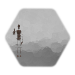 First Person Character