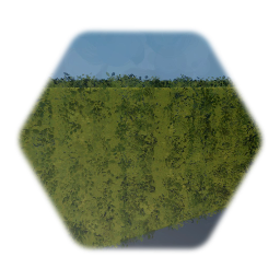 Bush Hedge