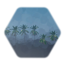 Bahamas Coconut Palm