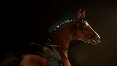 Realistic Horse Showcase (playable)