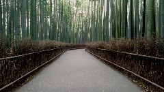 A screenshot taken in Dreams. 16 of 25.