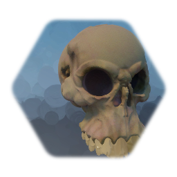 Skull