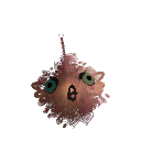 Cultanis
