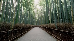 A screenshot taken in Dreams. 22 of 25.