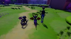 Dragon Village