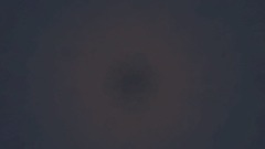 A screenshot taken in Dreams. 13 of 23.