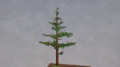 all Fir Tree [Shrek!]
