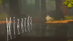 Wizards