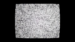 The war within trial