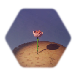 Flower - 13/2/2020