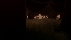 At the end of this forest...