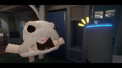 OddSock begs for food