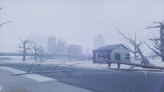 Ice storm '94