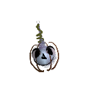 jNo0oNSaFwA