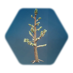 Winter tree Community Garden 2.9: Snow-covered