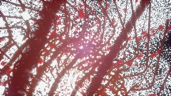 "How you make me feel" Music Visualization