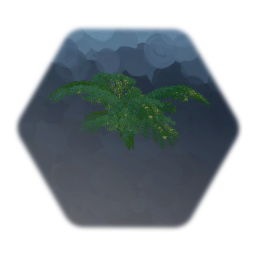 Fern with low thermo