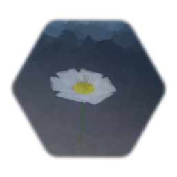 Bigger Daisy