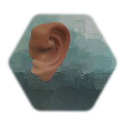 Ear