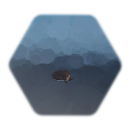 Hedgehogi