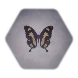 Hesperus Swallowtail