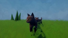 Curiosity is the cat
