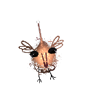 MalvSimon