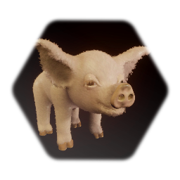 Pig