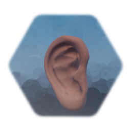 Human Ear