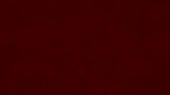 Form Transition Screen